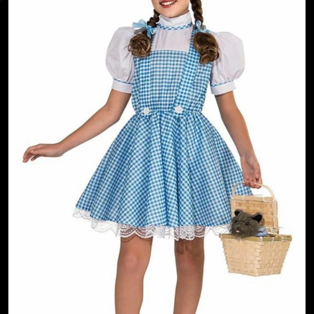Dorothy Costume